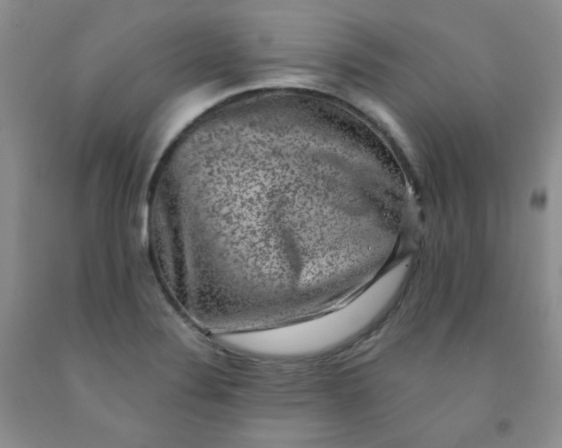 X0000091951324200709201314