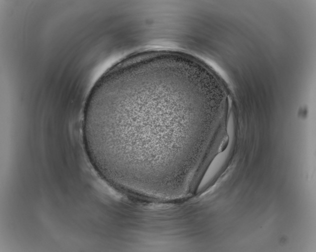 X0000091951325200709201314