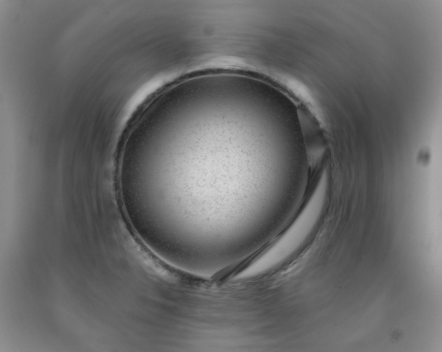 X0000091951326200709201314