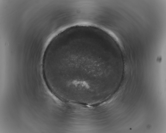 X0000091951327200709201314