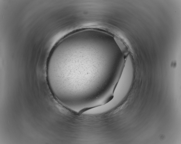 X0000091951328200709201314