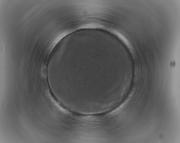 X0000091951329200709201314