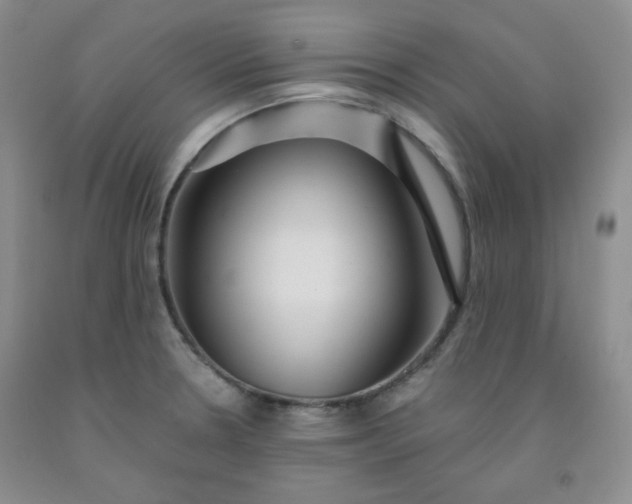 X0000091951330200709201314