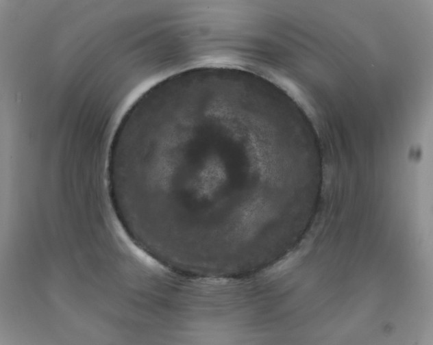 X0000091951331200709201314