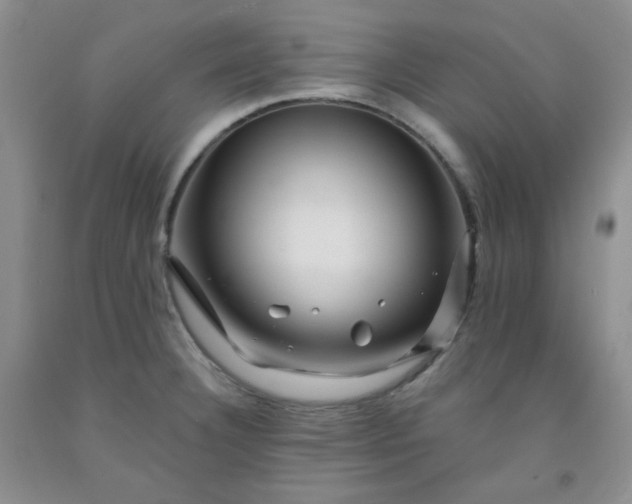 X0000091951332200709201314