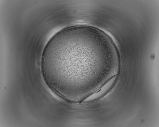 X0000091951333200709201314