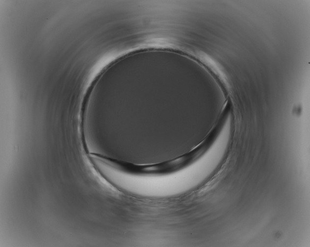 X0000091951334200709201315