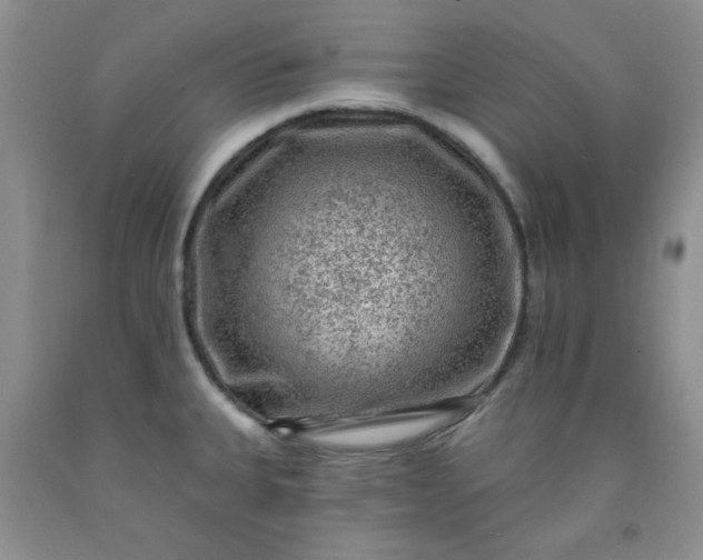 X0000091951335200709201315