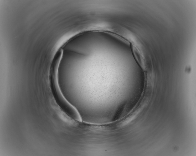 X0000091951336200709201315