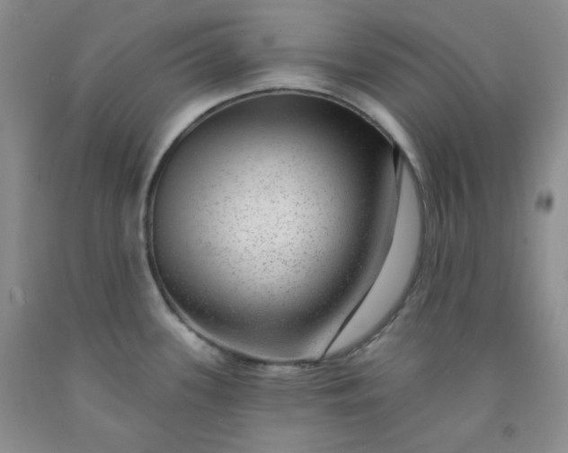 X0000091951339200709201315