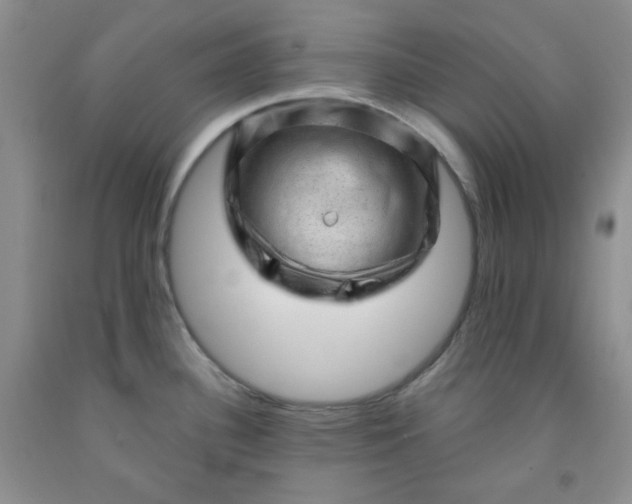 X0000091951340200709201315