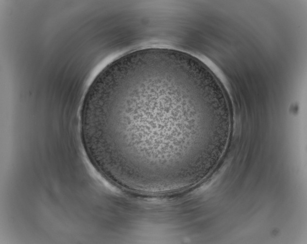 X0000091951341200709201315