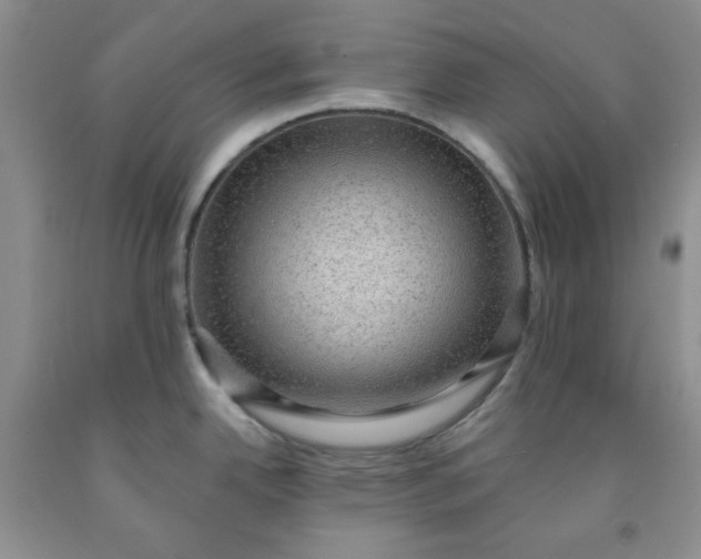 X0000091951342200709201315