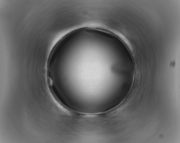 X0000091951343200709201315