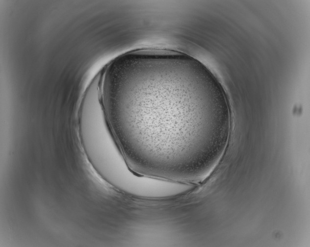 X0000091951344200709201315