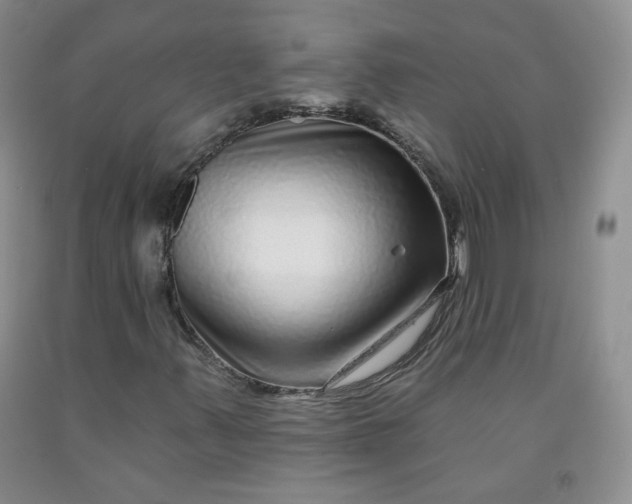 X0000091951347200709201314