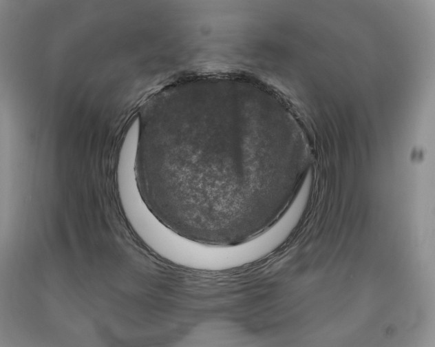 X0000091951348200709201314