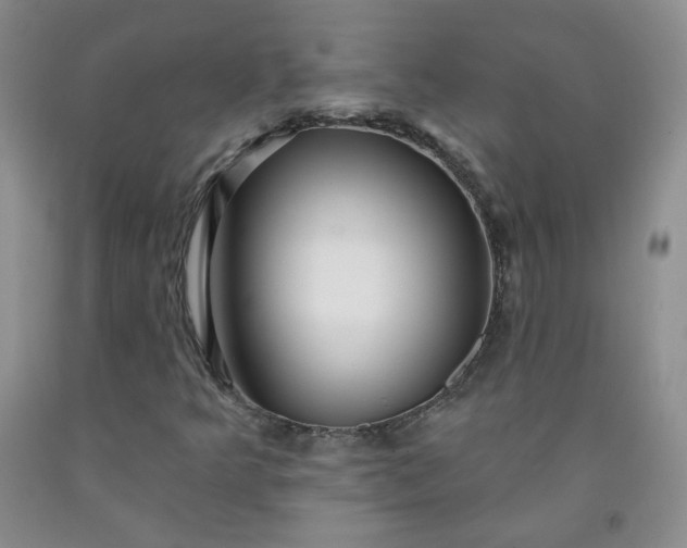 X0000091951349200709201314