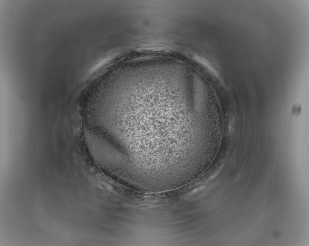 X0000091951350200709201314