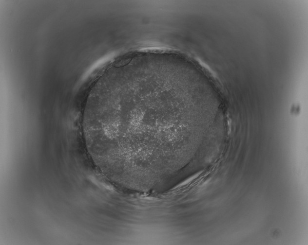 X0000091951351200709201314