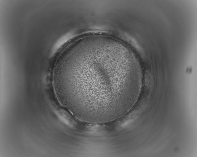 X0000091951352200709201314