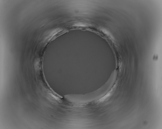 X0000091951353200709201314