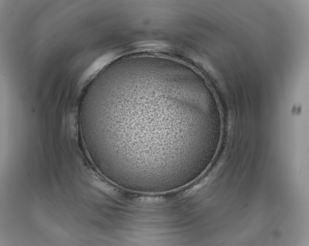 X0000091951354200709201314