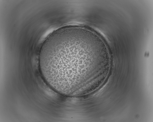 X0000091951355200709201314