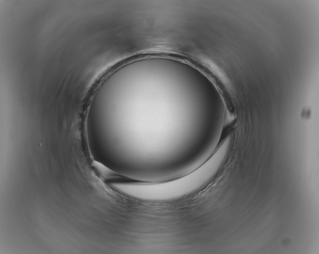 X0000091951356200709201314