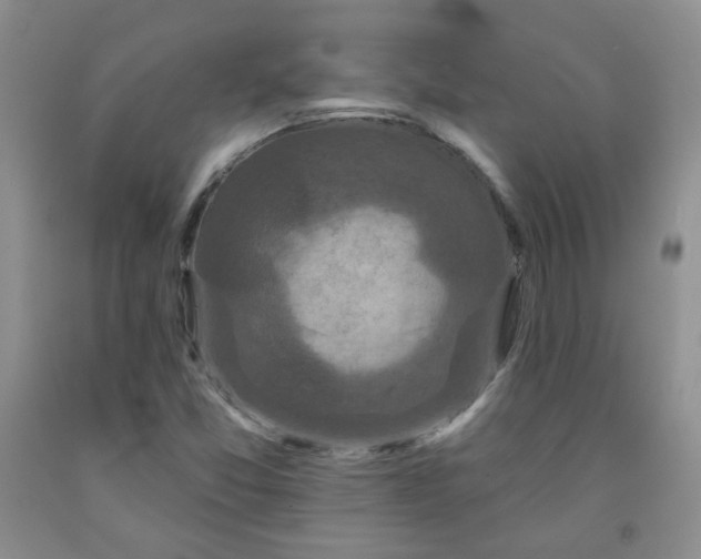 X0000091951357200709201314