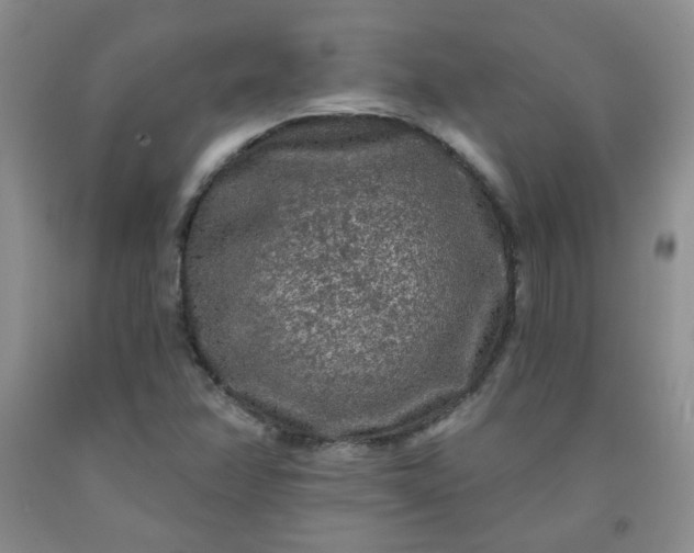 X0000091951358200709201314