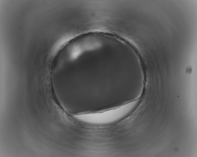 X0000091951359200709201314