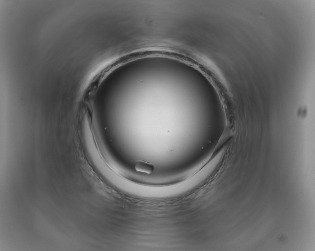 X0000091951360200709201314