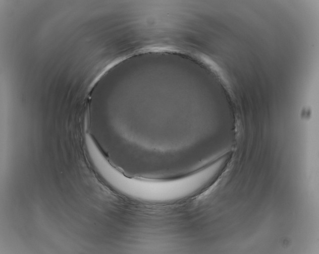 X0000091951361200709201314