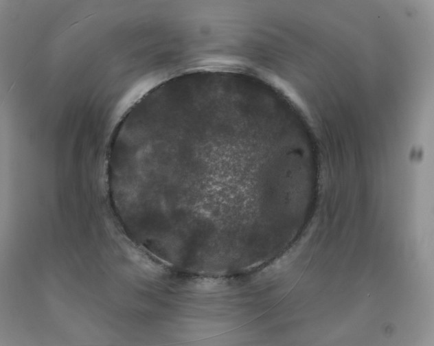 X0000091951362200709201314