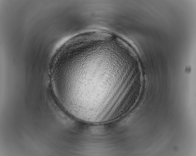 X0000091951363200709201314