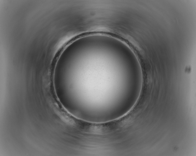 X0000091951364200709201314