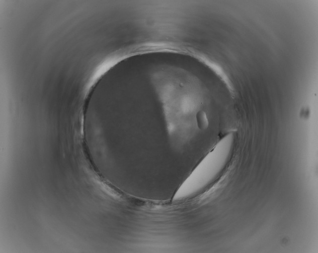 X0000091951365200709201314