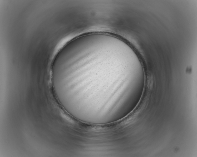 X0000091951366200709201314