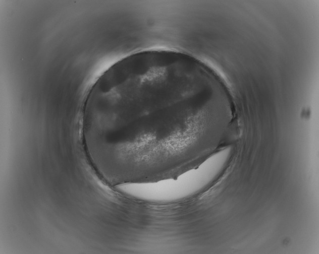 X0000091951367200709201314