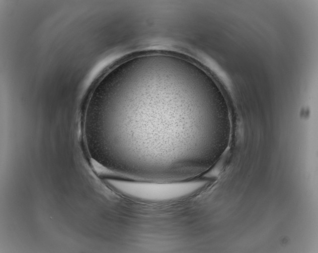 X0000091951368200709201314