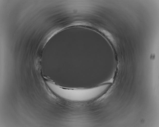 X0000091951369200709201314