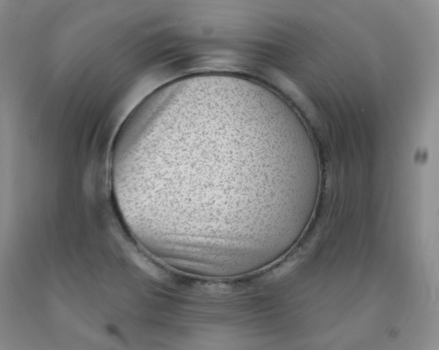 X0000091951370200709201314