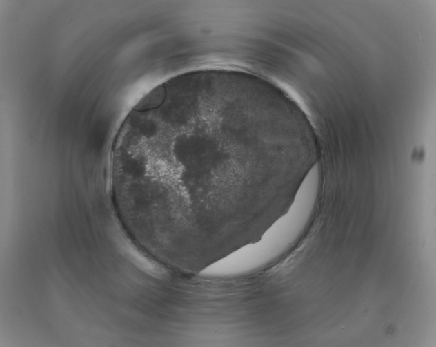 X0000091951371200709201314