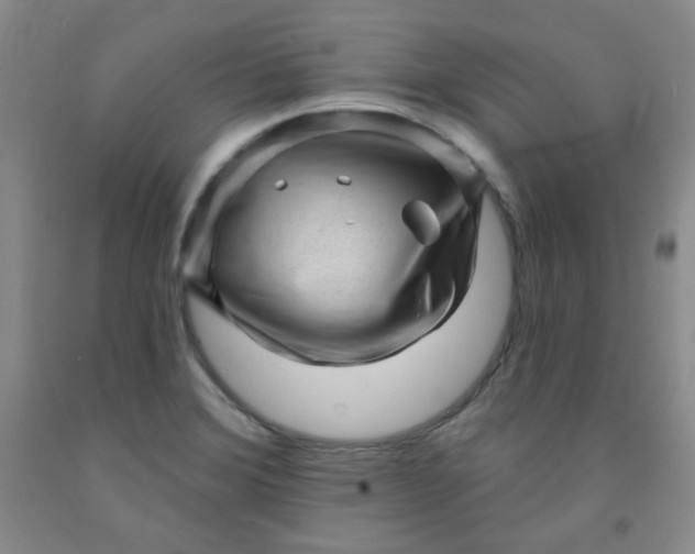 X0000091951372200709201314