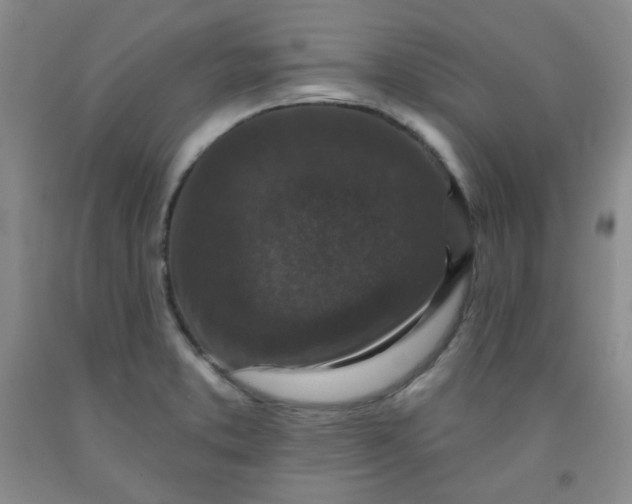 X0000091951373200709201314