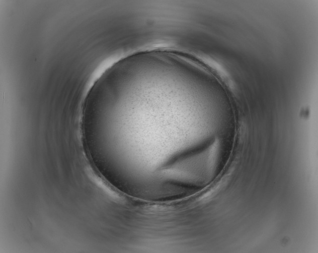 X0000091951374200709201314