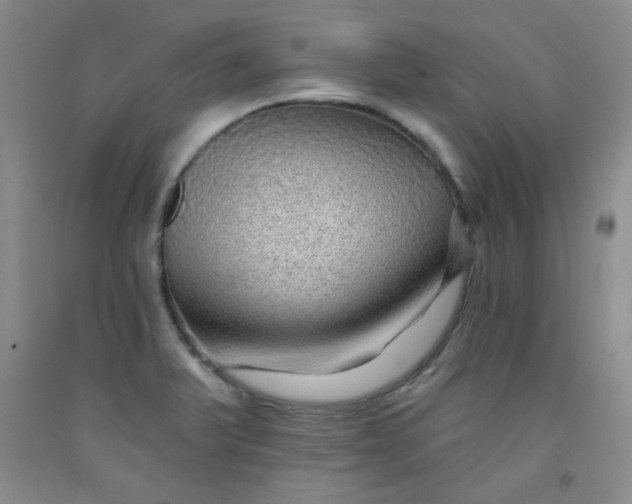 X0000091951375200709201314