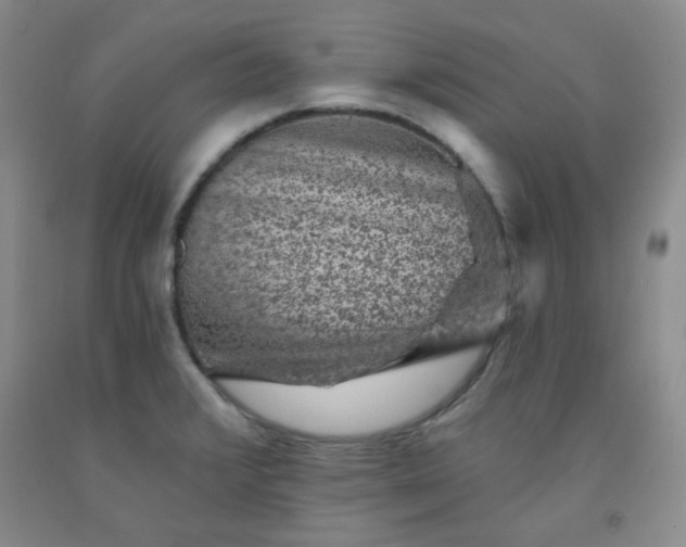 X0000091951376200709201314