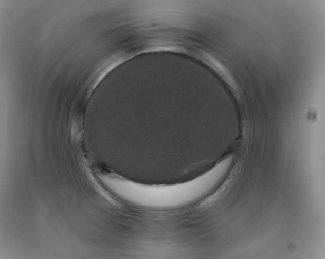 X0000091951377200709201314